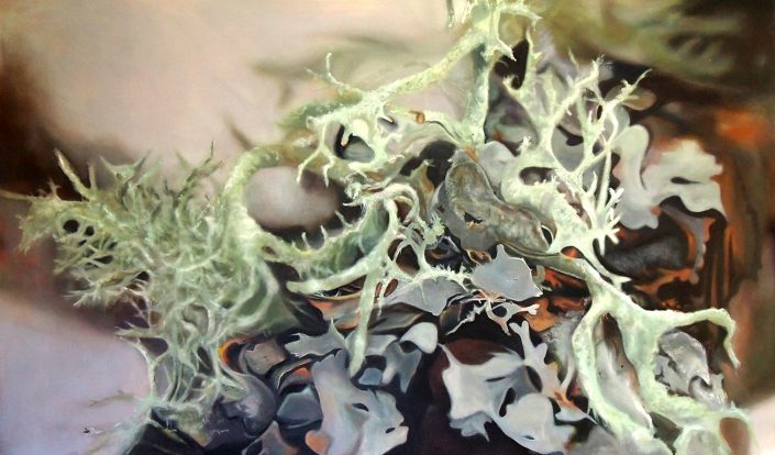 Lichen (Alice, Ontario) - Melanie MacDonald