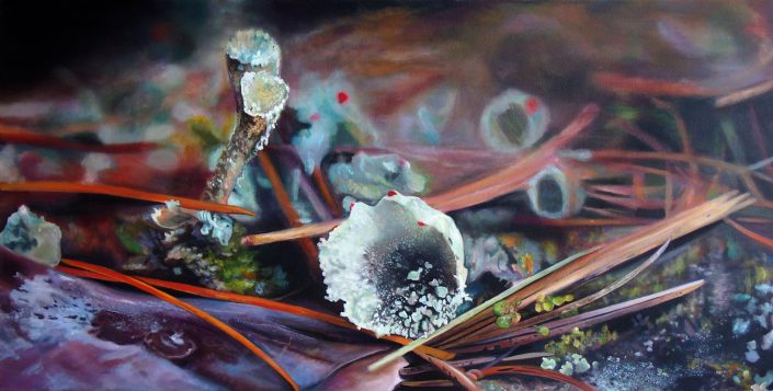 Lichen (French River) - Melanie MacDonald
