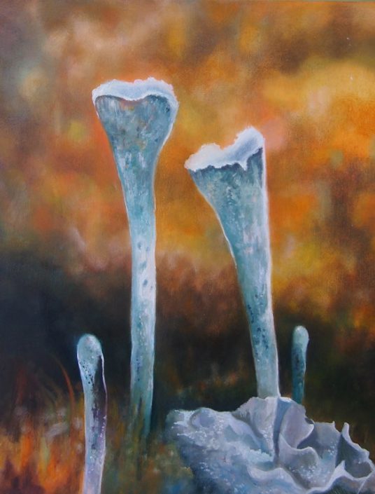 Lichen (Golden Field) - Melanie MacDonald