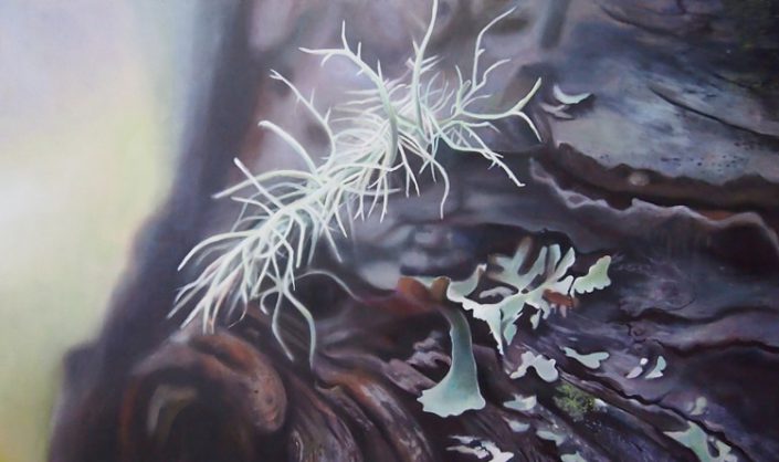 Lichen I - Melanie MacDonald