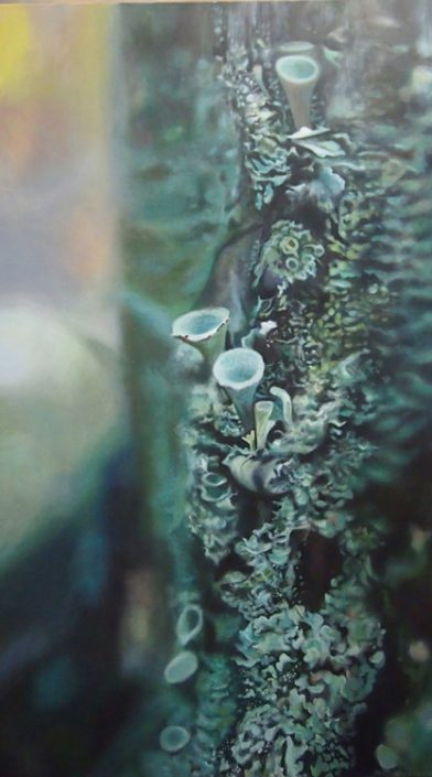 Lichen II - Melanie MacDonald