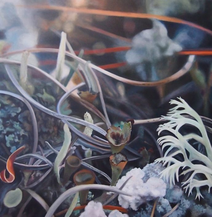 Lichen IV - Melanie MacDonald