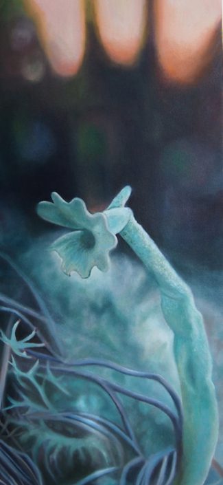 Lichen (Sunset) - Melanie MacDonald