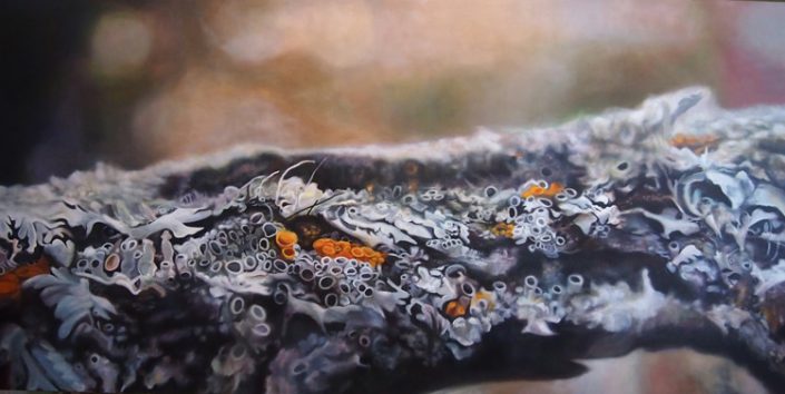 Lichen V - Melanie MacDonald